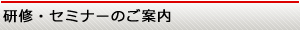 ���C�E�Z�~�i�[�̂��ē�